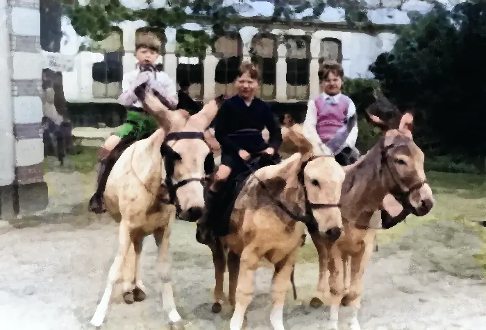 Haagse dierentuin